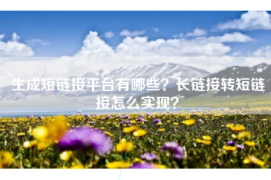 生成短链接平台有哪些？长链接转短链接怎么实现？