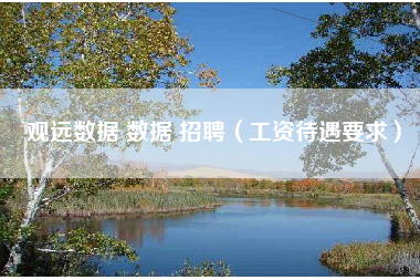 观远数据 数据 招聘(工资待遇要求) 观远数据 数据 招聘(工资待遇要求)