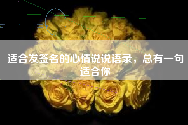适合发签名的心情说说语录，总有一句适合你