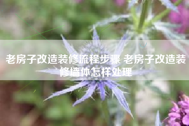 老房子改造装修流程步骤 老房子改造装修墙体怎样处理