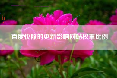 百度快照的更新影响网站权重比例