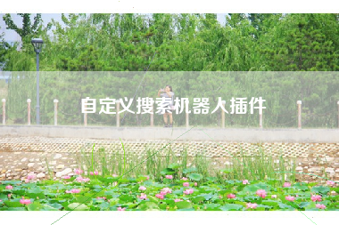 自定义搜索机器人插件