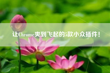 让Chrome爽到飞起的5款小众插件！