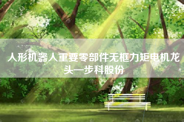人形机器人重要零部件无框力矩电机龙头—步科股份
