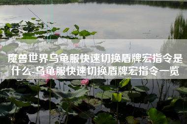 魔兽世界乌龟服快速切换盾牌宏指令是什么-乌龟服快速切换盾牌宏指令一览
