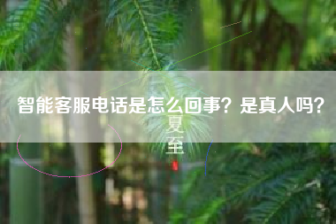 智能客服电话是怎么回事？是真人吗？