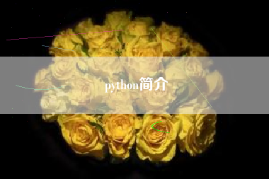 python简介