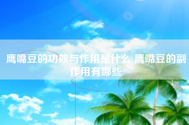 鹰嘴豆的功效与作用是什么 鹰嘴豆的副作用有哪些
