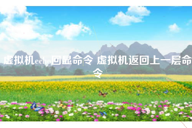 虚拟机echo回显命令 虚拟机返回上一层命令
