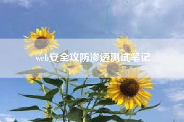 web安全攻防渗透测试笔记