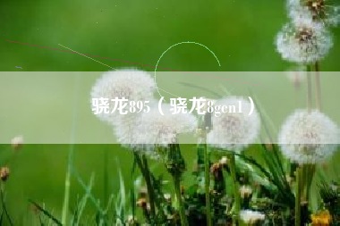 骁龙895（骁龙8gen1）