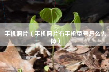 手机照片（手机照片有手机型号怎么去掉）