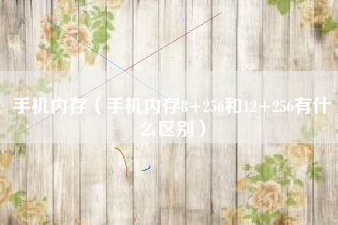 手机内存（手机内存8+256和12+256有什么区别）