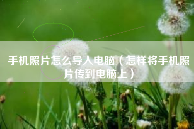 手机照片怎么导入电脑（怎样将手机照片传到电脑上）