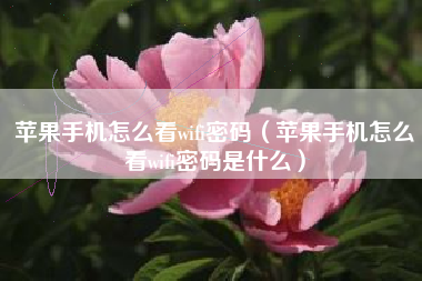 苹果手机怎么看wifi密码（苹果手机怎么看wifi密码是什么）