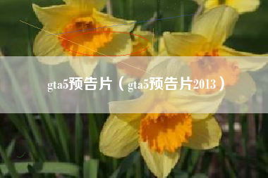 gta5预告片（gta5预告片2013）