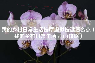 我的乡村日常生活按摩虚拟按键怎么点（我的乡村日常生活 v0.161攻略）