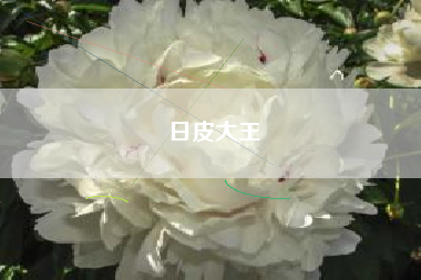 日皮大王