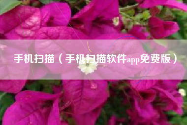 手机扫描（手机扫描软件app免费版）