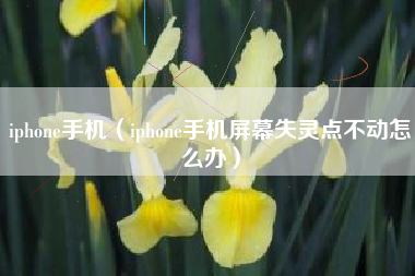 iphone手机（iphone手机屏幕失灵点不动怎么办）