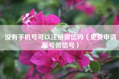 没有手机号可以注册微信吗（免费申请账号微信号）