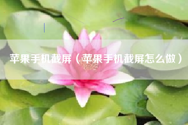 苹果手机截屏（苹果手机截屏怎么做）