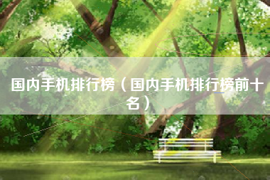 国内手机排行榜（国内手机排行榜前十名）