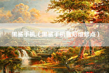 黑鲨手机（黑鲨手机售后维修点）