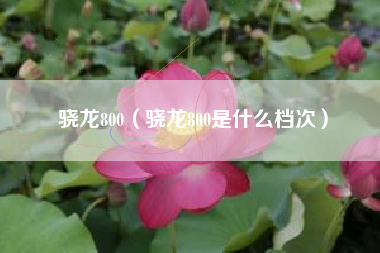 骁龙800（骁龙800是什么档次）