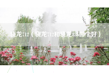 骁龙712（骁龙712和骁龙835哪个好）