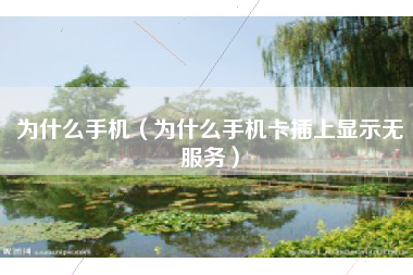 为什么手机（为什么手机卡插上显示无服务）