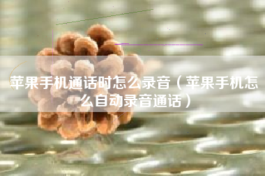 苹果手机通话时怎么录音（苹果手机怎么自动录音通话）