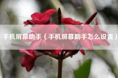 手机屏幕助手（手机屏幕助手怎么设置）