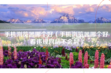 手机浏览器哪个好（手机浏览器哪个好看违规网站不会封）