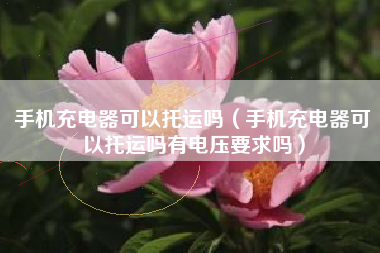 手机充电器可以托运吗（手机充电器可以托运吗有电压要求吗）