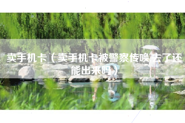 卖手机卡（卖手机卡被警察传唤,去了还能出来吗）