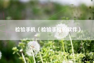 检验手机（检验手机的软件）