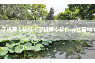 手机声卡软件（手机声卡软件app连音响）