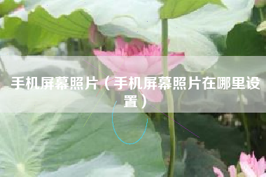 手机屏幕照片（手机屏幕照片在哪里设置）
