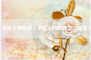 手机上网限速（手机上网限速怎么设置）