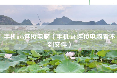 手机usb连接电脑（手机usb连接电脑看不到文件）