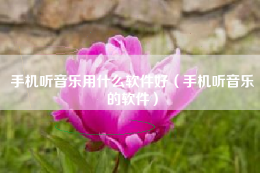 手机听音乐用什么软件好（手机听音乐的软件）