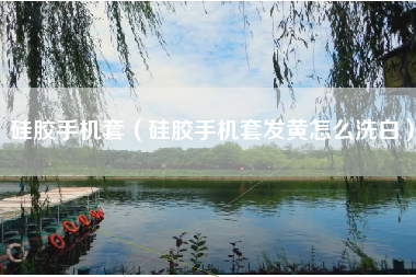 硅胶手机套（硅胶手机套发黄怎么洗白）