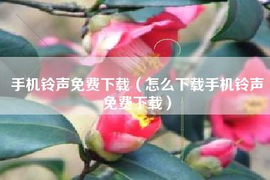手机铃声免费下载（怎么下载手机铃声免费下载）