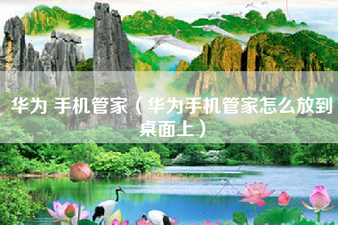 华为 手机管家（华为手机管家怎么放到桌面上）