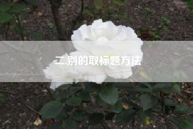 二.别的取标题方法