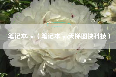 笔记本cpu（笔记本cpu天梯图快科技）