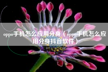 oppo手机怎么应用分身（oppo手机怎么应用分身抖音软件）