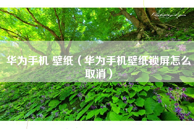 华为手机 壁纸（华为手机壁纸锁屏怎么取消）