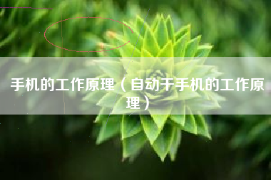 手机的工作原理（自动干手机的工作原理）